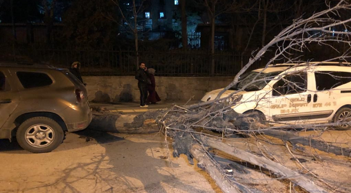 Ankara'da ağaç minibüsün üstüne devrildi