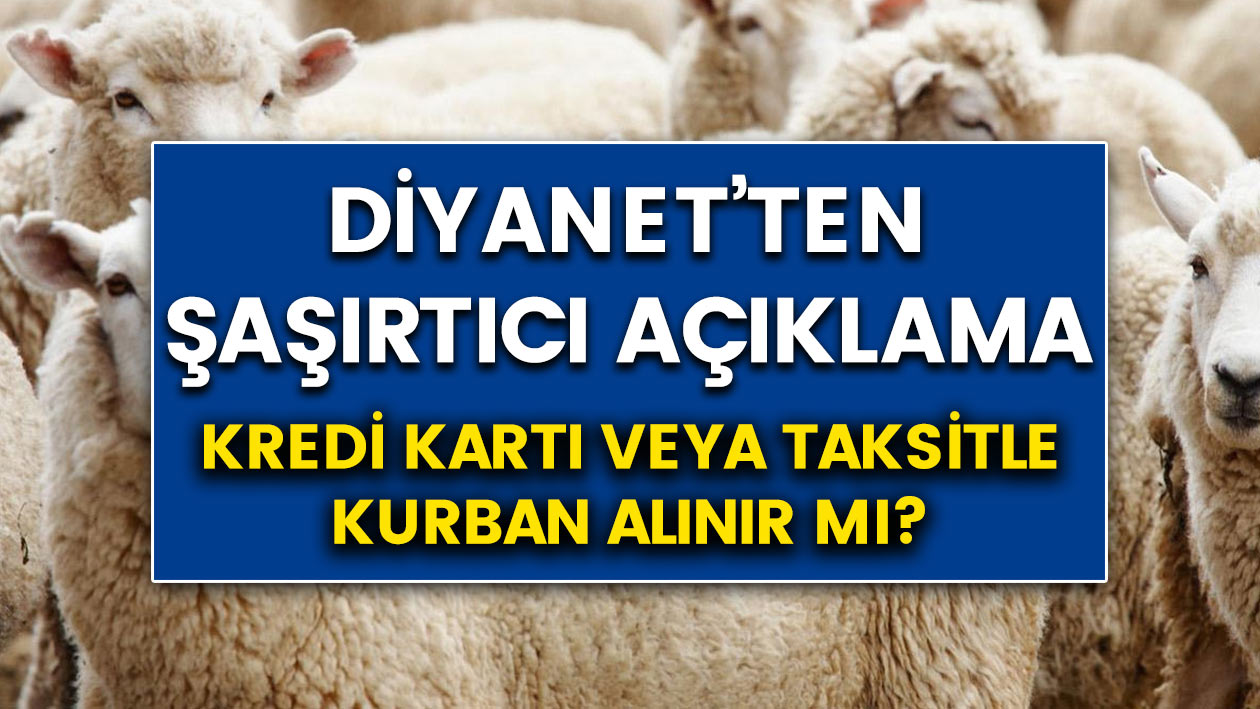 Diyanet'ten koyunlar ve kurbanlıklar için şaşırtıcı açıklama..! Kredi kartı veya taksitle kurban alınır mı?