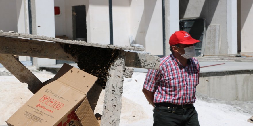 Niğde’de apartman inşaatını arılar bastı