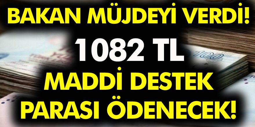 Bakan müjdeyi verdi! O ailelere 1082 TL destek parası ödenecek