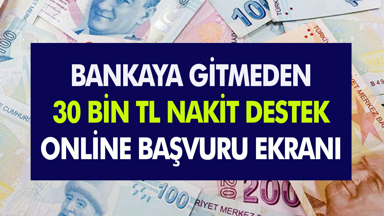 Bankaya gitmeye gerek yok... 30 Bin TL Kredi 6 ay geri ödeme olmayan kredi için online başvuru ekranı...