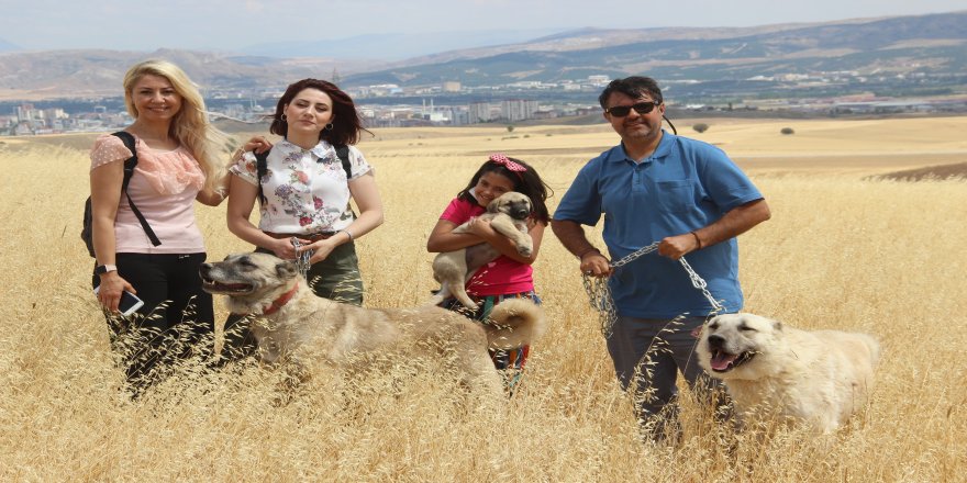 İnterpol Başkanı Lütfi Çiçek tatilinde Kangalları unutmadı