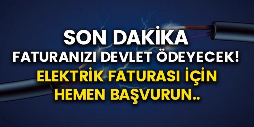 Elektrik Faturanızı Devlet Ödeyecek! Başvuru Şartlarını Tamamlamanız Yeterli…
