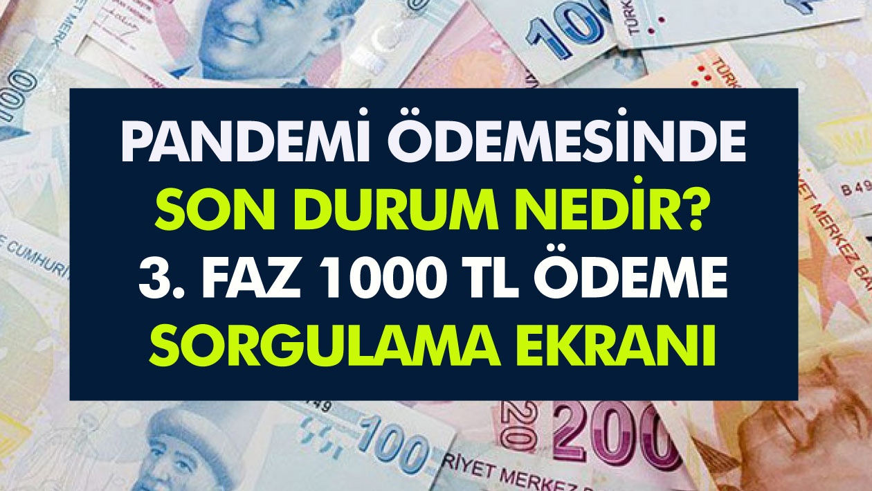 Pandemi Ödemesinde Son Durum..! 1000 TL Pandemi Destek Ödemesi Sorgulama..!