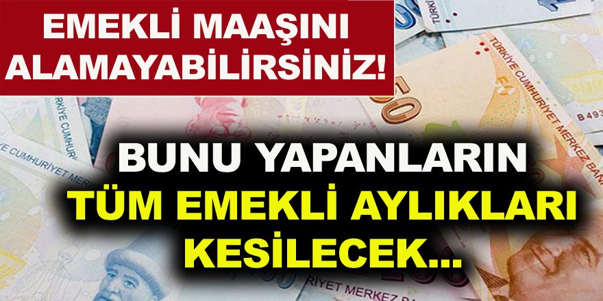 Emekliler Dikkat! Eğer Bu Başvuru Yapılmazsa Tüm Emeklilik Aylıkları Kesilecek! İşte ayrıntılar...