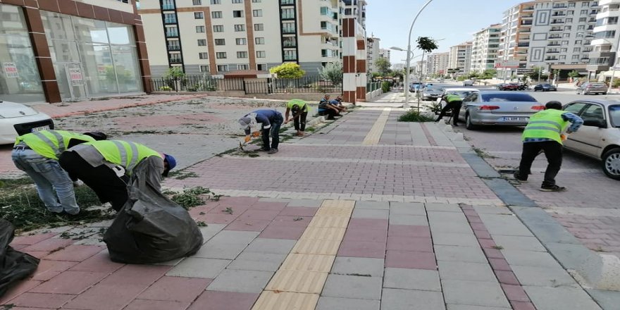 Malatya Büyükşehir Belediyesi'nden yabani ot temizliği