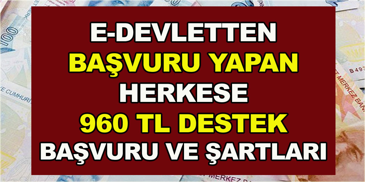 Herkese 960 TL Destek!  E-devlet üzerinden alınan başvurular nasıl yapılacak? İşte Başvuru Şartları...