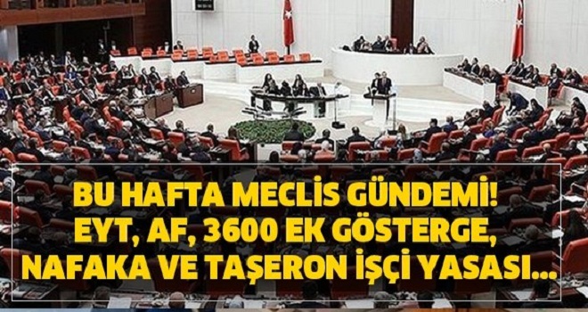 Meclis gündemi! EYT, af, 3600 ek gösterge, nafaka ve taşeron işçi yasası...