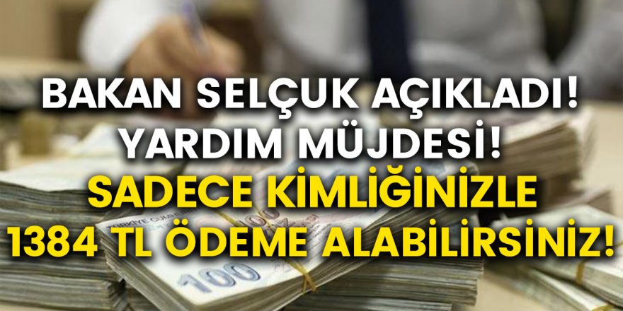 Bakanlık Müjdeyi Verdi! Sadece Kimliğinizle Başvurarak 1384 TL Nakit Ödeme Alabilirsiniz…
