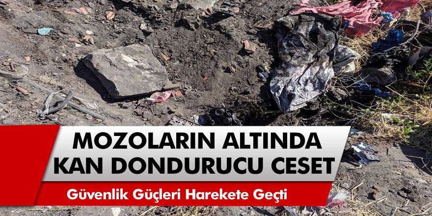 İzmir'de korkunç olay: moloz dökülen alanda genç kız cesedi bulundu