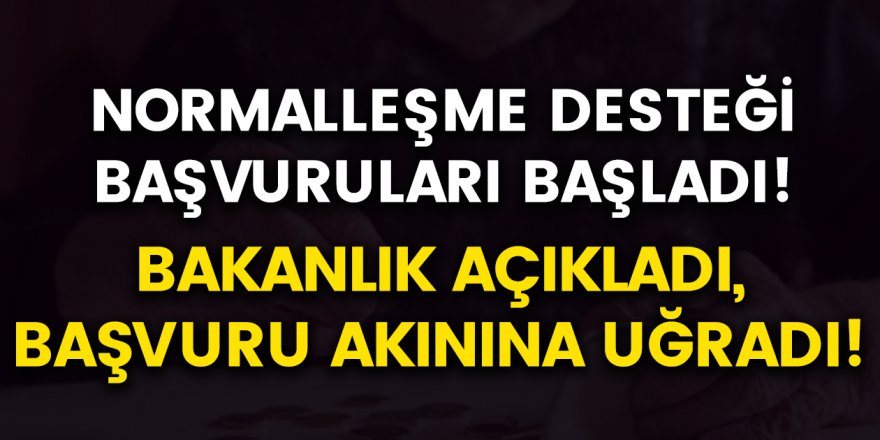 Bakanlık Açıkladı, Başvuru Akınına Uğradı! Normalleşme Desteği Başvurusu Nasıl Yapılır?