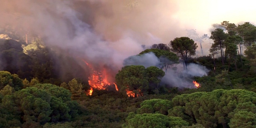 Maltepede çıkan orman yangını söndürme çalışmaları devam ediyor