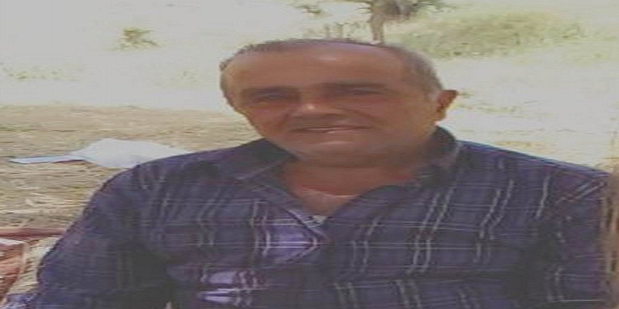 Şırnak'ta bir çiftçi arı sokması sonucu hayatını kaybetti