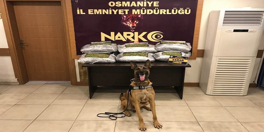 Narkotik dedektör köpeği Pars sayesinde 29 kilo uyuşturucu ele geçirildi