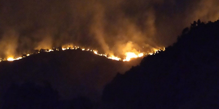 Bingöl'de iki farklı bölgede orman yangını