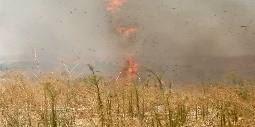 İzmir’in Aliağa ilçesinde, otluk ve makilik alanda çıkan yangın korkuttu