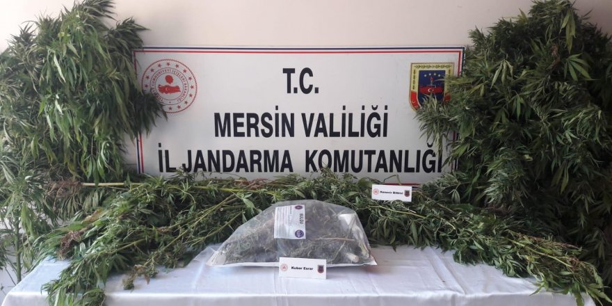Mersin'de jandarma ekiplerinden uyuşturucu operasyonu