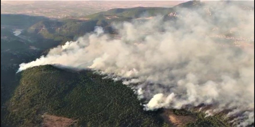 Denizli Çardak’taki orman yangını geniş bir alanda devam ediyor