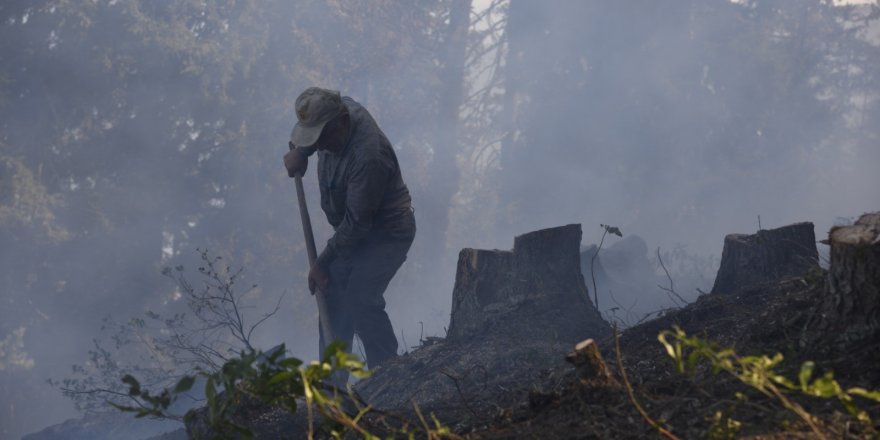 Artvin Sarıbudak'ta ormanlık alanda çıkan büyük yangında 4 hektar alan zarar gördü