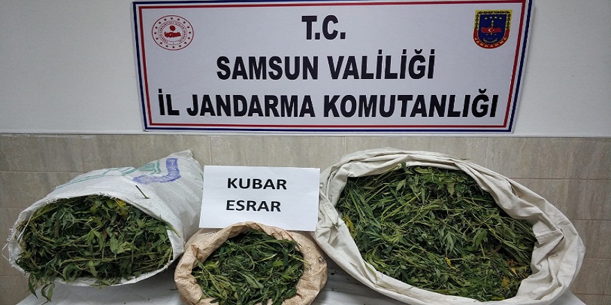 Jandarmanın havadan ve karadan yürüttüğü operasyonda 48 kg esrar ele geçirildi