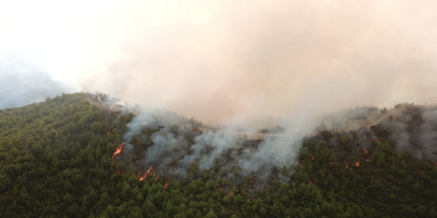 Samandağ orman yangını dronlarla havadan böyle görüntülendi