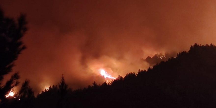 Samandağ'da Kontrol altına alınan yangın tekrar alevlendi