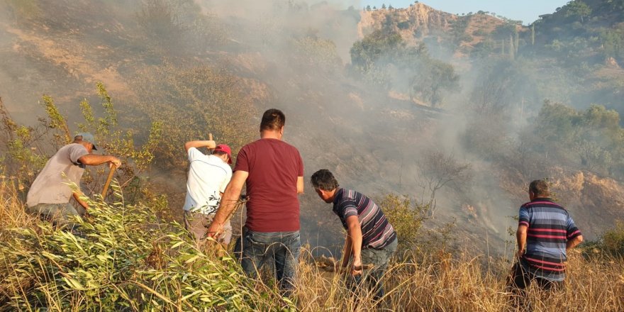 Nazilli'de zirai alanda yangın çıktı Alevleri gören mahalleli yangına koştu