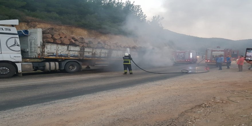 Adana’da dorsesinde Tomruk yüklü olan tır alev aldı