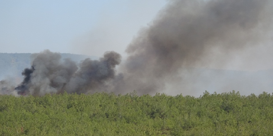 Gelibolu'daki orman yangını söndürülemiyor