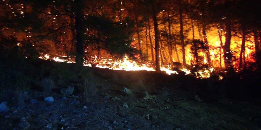 Antalya Manavgat'ta çıkan orman yangını kontrol altına alındı