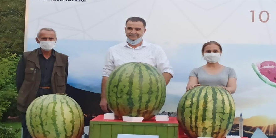 Görenler gözlerine inanamadı...Son 70 yılın en ağır karpuzu Diyarbakır'dan