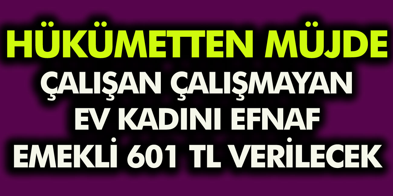 Çalışan Çalışmayan, Ev Kadını, Esnaf, Emekli,  İşsiz Herkese 601 TL Para Yardımı verilecek! Nasıl alınır?