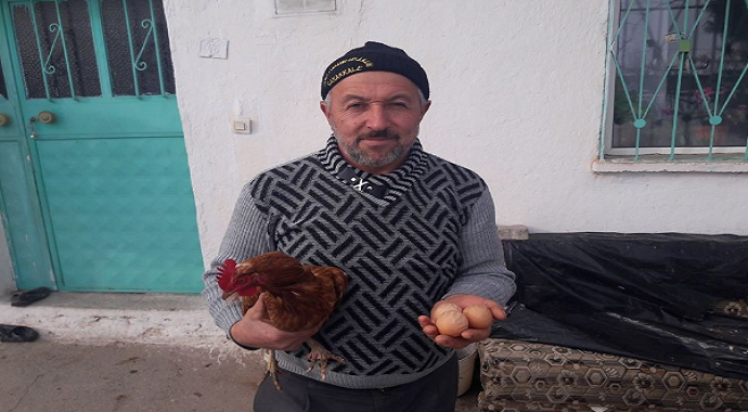 Bu tavuk 'Allah' yazan yumurtalar yumurtluyor