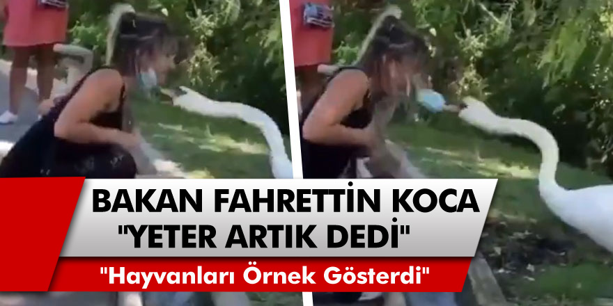 Sağlık Bakanı Fahrettin Koca, Hayvanları Örnek Gösterdi! "Kuralları Bizden Daha İyi Bilenler Var"