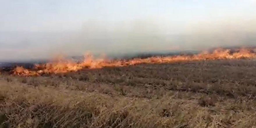 Tekirdağ'da 100 dönümlük anız alev alev yandı