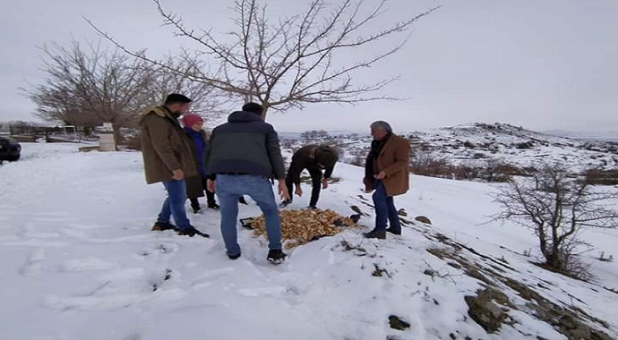 Bingöl’de sokak hayvanları unutulmadı