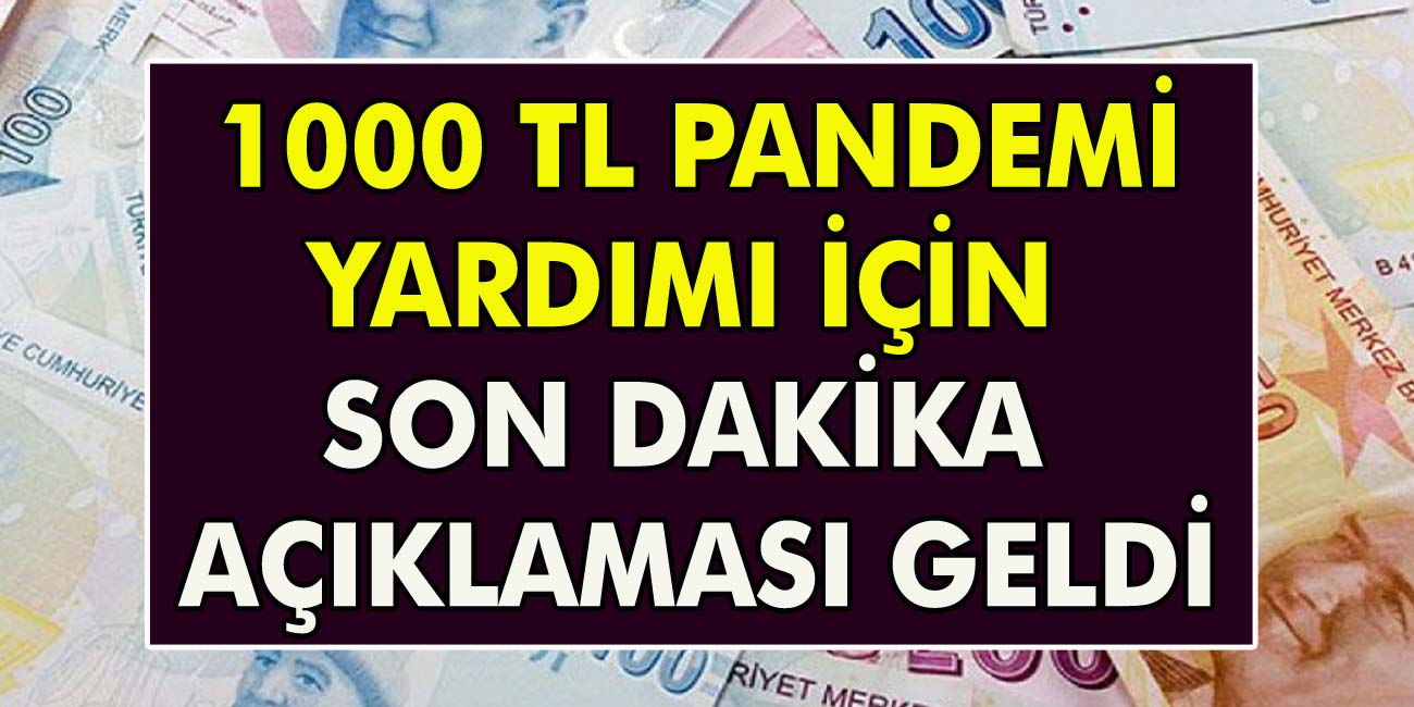 1000 TL Pandemi Yardımı İçin Son Dakika Açıklaması Geldi! Son Gün Gelmeden Hemen Sorgulama Yapın…