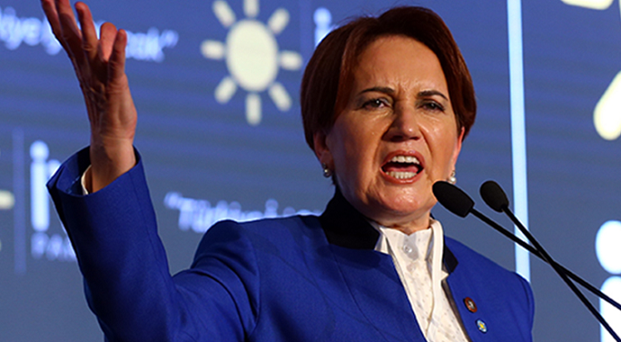 İYİ Parti Sicil Affı İstedi