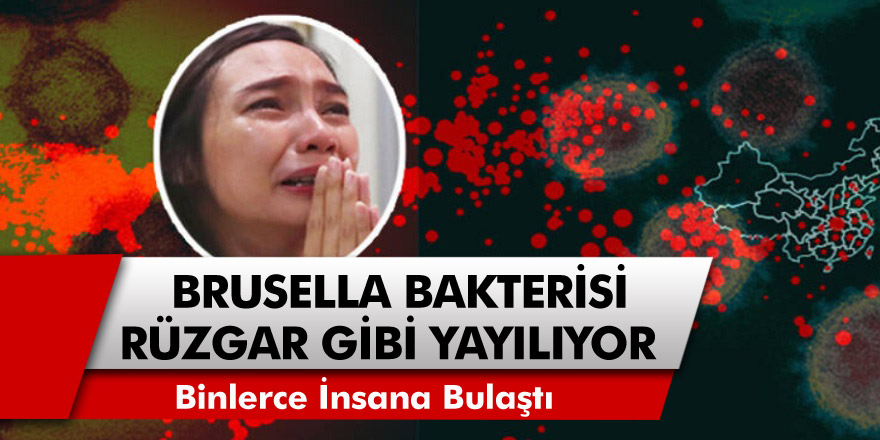 Son dakika korkulan oldu! Çin’de ortaya çıkan Brusella bakterisi rüzgarla yayılıyor…