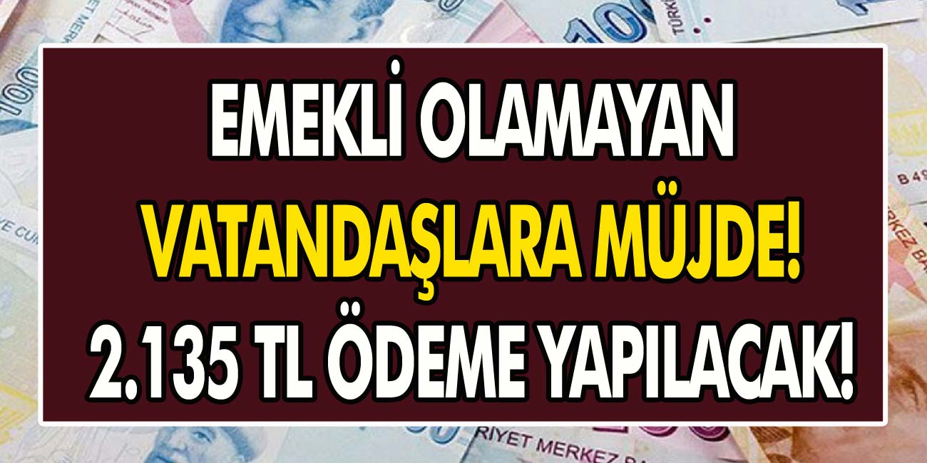 Emekli olamayan vatandaşlara 2135 TL Ödeme Müjdesi Geldi! Hemen Başvuru Yaparak Alabilirsiniz…