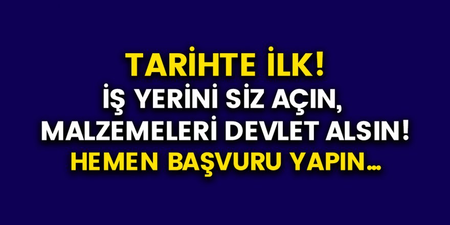 İş Kurmak İsteyenlere Devlet Desteği Geldi! İşi Siz Kurun, Devlet Ödesin! Devlet Destekli Ne İş Yapabilirim?