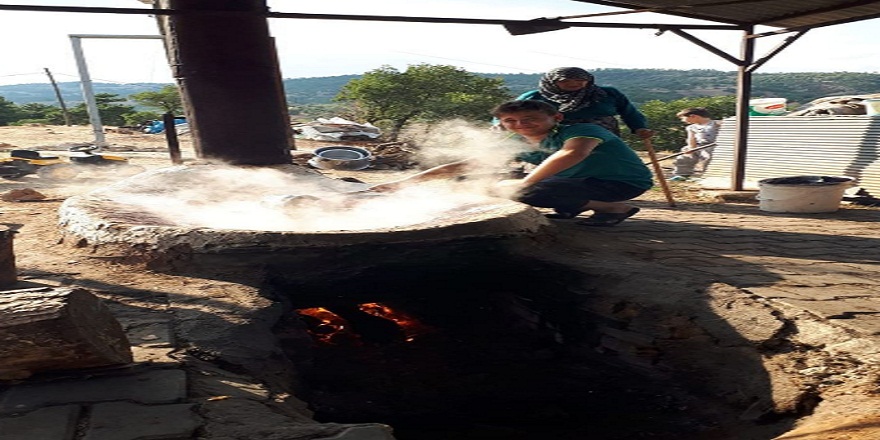 Kütahya'da bağ bozumunun ardından pekmez kazanları kuruldu!