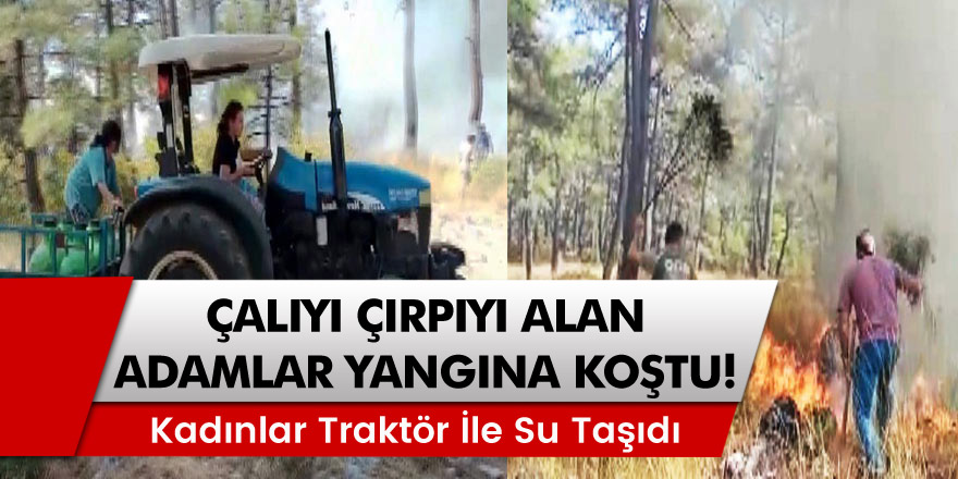 Muğla'da Çalıyı çırpıyı alan adamlar yangını söndürmek için koştu, kadınlar traktör ile su taşıdı