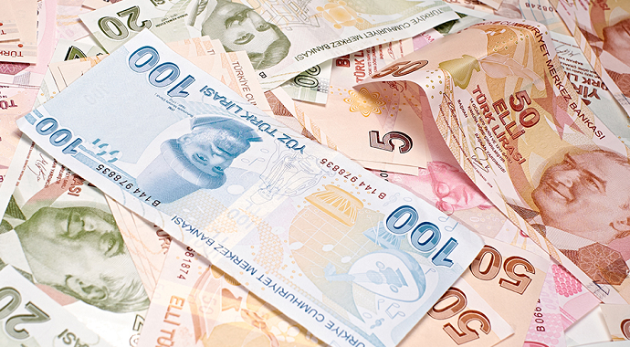 Devlet başvuranlara 173 bin lira hibe desteği