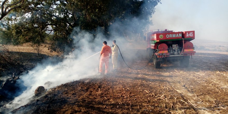 Malkara'da Ağaçlık alanda korkutan yangın