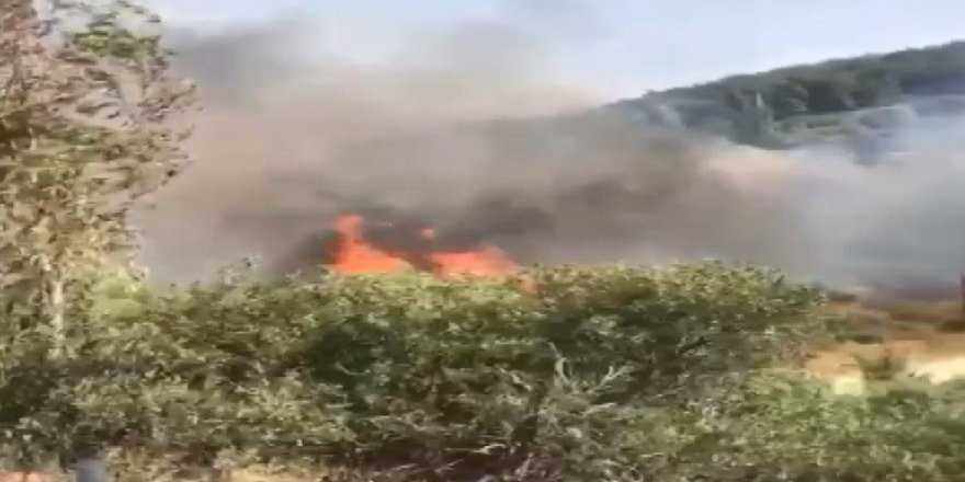 İzmir Urla'da ormanlık alanda yangın