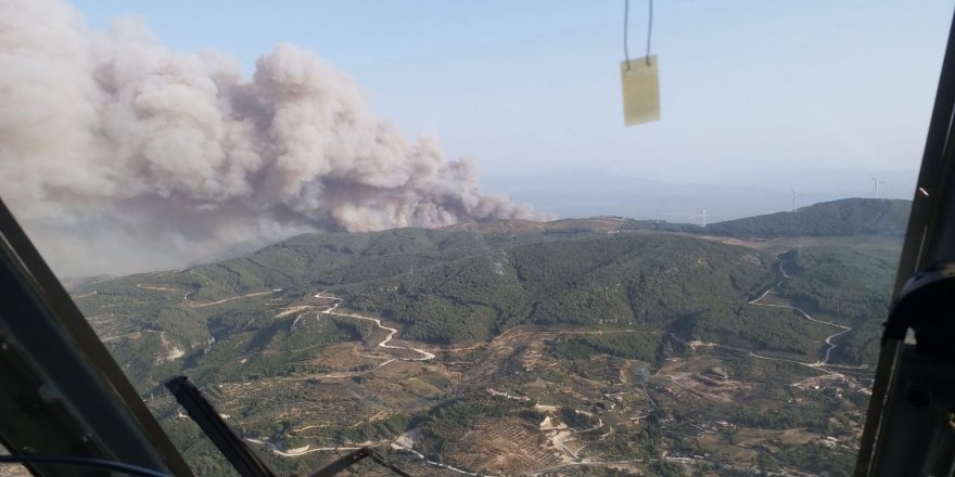 Aydın Söke İlçesinde orman yangını