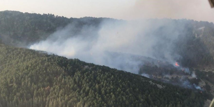 İzmir Bergama'da ormanlık alanda yangın paniği