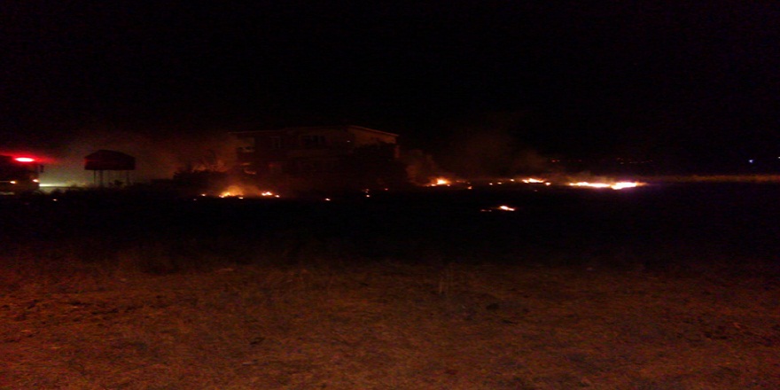 Tekirdağ Muratlı'daki yangın kontrol altına alındı