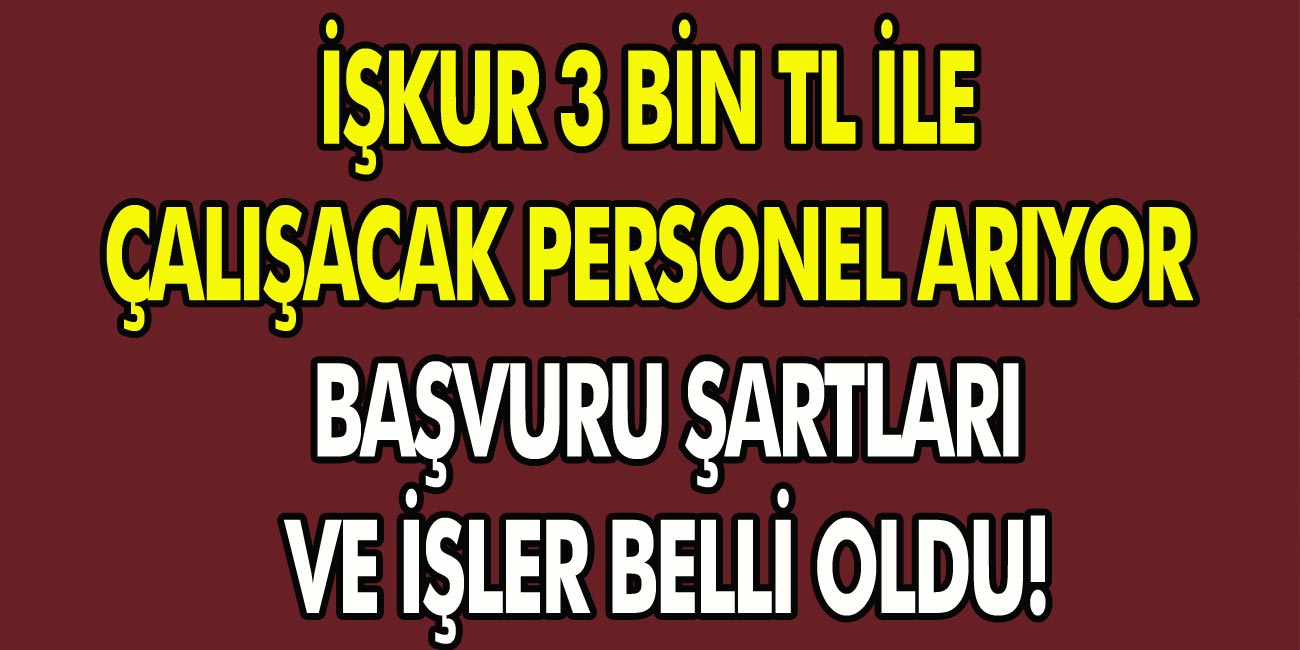 İŞKUR 3 Bin TL ile çalışacak personel arıyor! Başvuru şartları ve işler belli oldu!